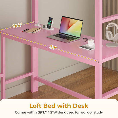 ADORNEVE Twin Size LED Loft Bed with Desk and 8 Storage Drawers